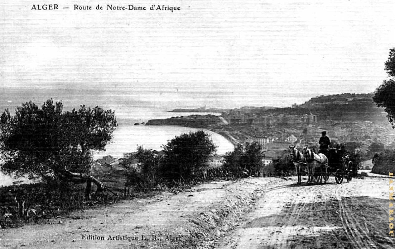 Alger - Route de Notre-Dame d'Afrique.jpg
